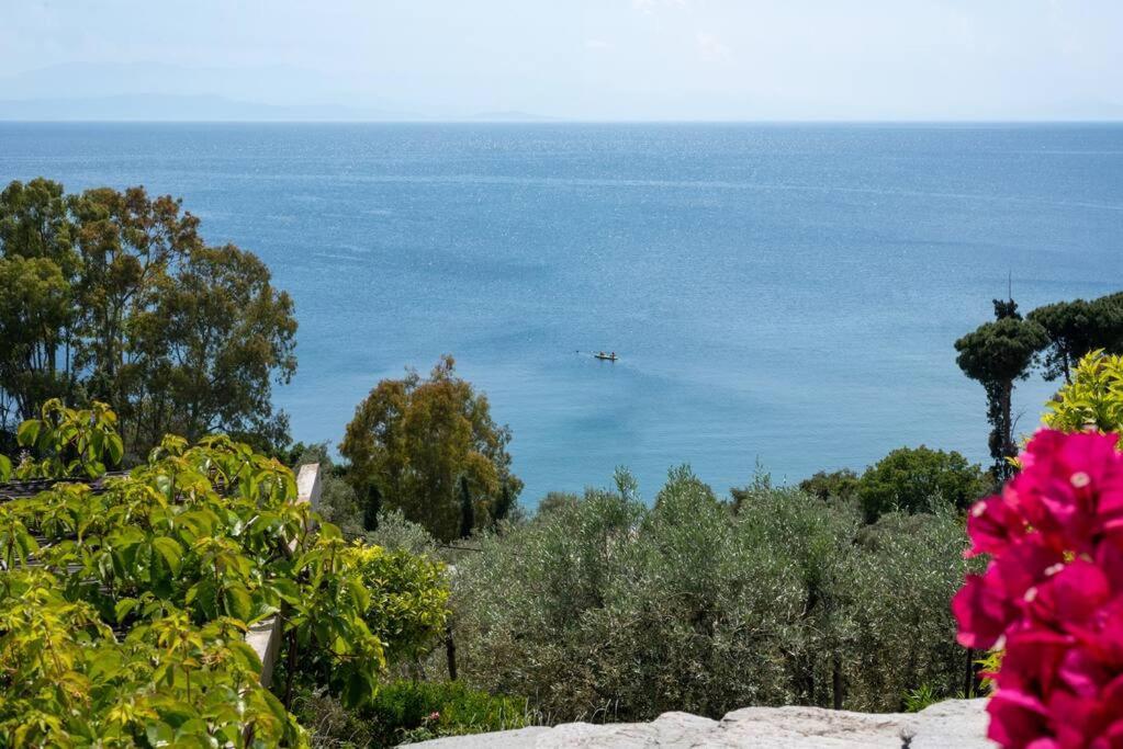 Seaside House With View Over Pagasitikos Afissos Exterior foto