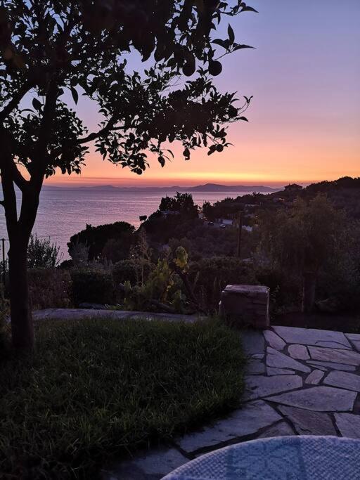 Seaside House With View Over Pagasitikos Afissos Exterior foto
